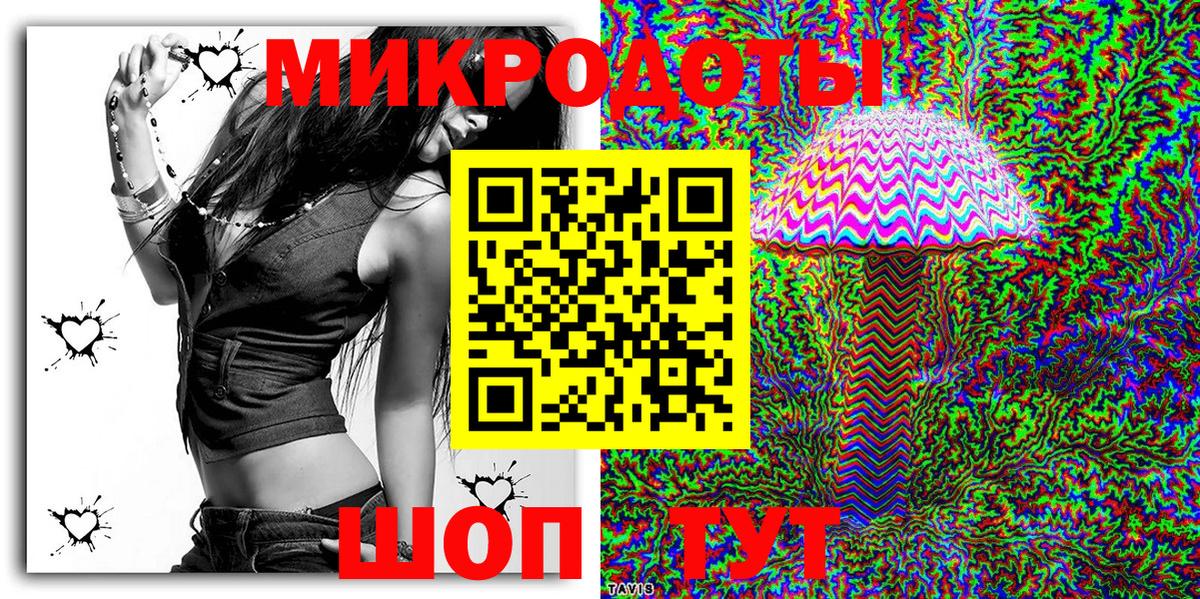 Галлюциногенные грибы Psilocybe Братск