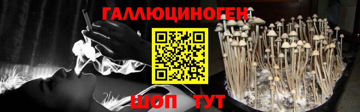 Братск  Псилоцибиновые грибы MAGIC MUSHROOMS  Вход с VPN 